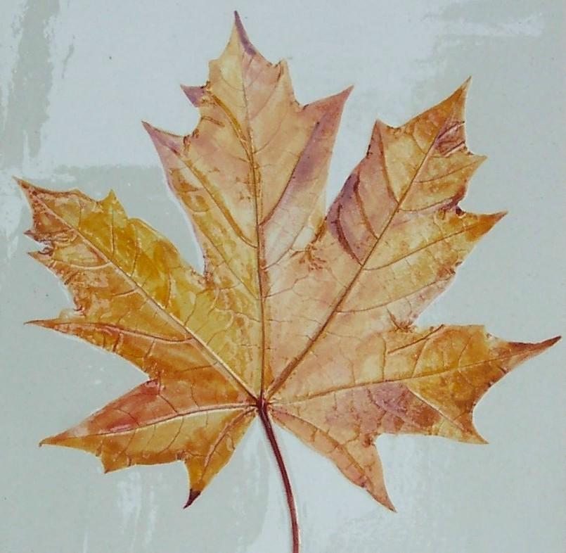 leaf tiles